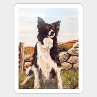 THE SHEEP DOG PENNY Sticker